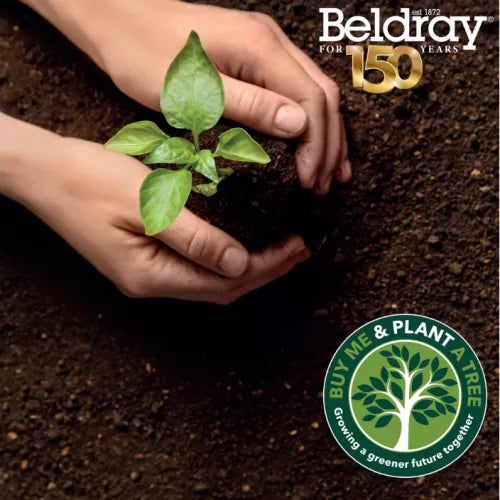 Šepetys Beldray La068717Gryeu7