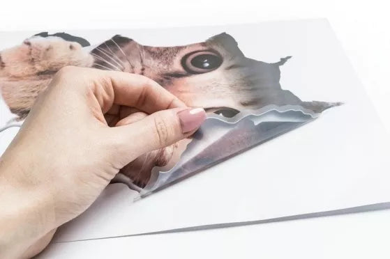 3D lipdukas sienų dekoravimui "Katė", 21 x 29 cm