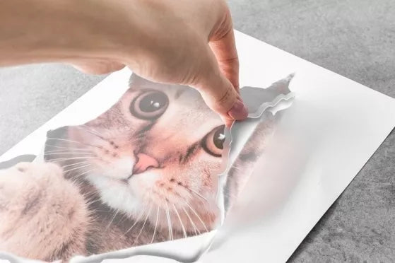 3D lipdukas sienų dekoravimui "Katė", 21 x 29 cm