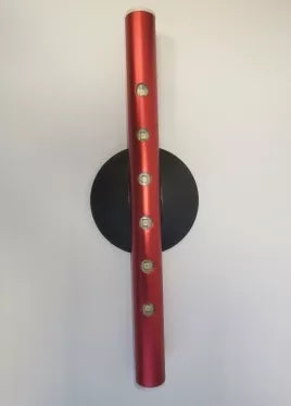 6 LED šviestuvas su magnetu