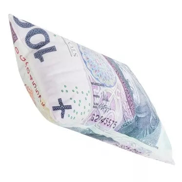 Dekoratyvinė pagalvė "100 zlotų", 40 x 25 x 8 cm