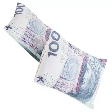 Dekoratyvinė pagalvė "100 zlotų", 40 x 25 x 8 cm