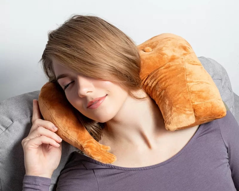 Kelioninė Pagalvė Draugas