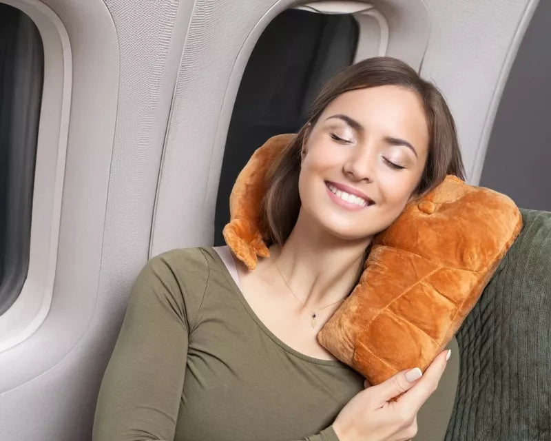 Kelioninė Pagalvė Draugas