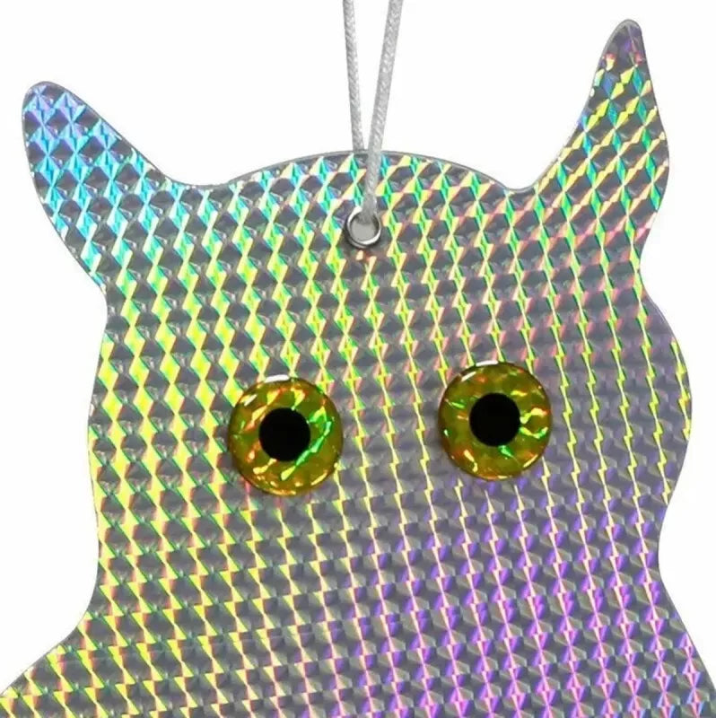 Paukščių Baidymo Figūra Pelėda