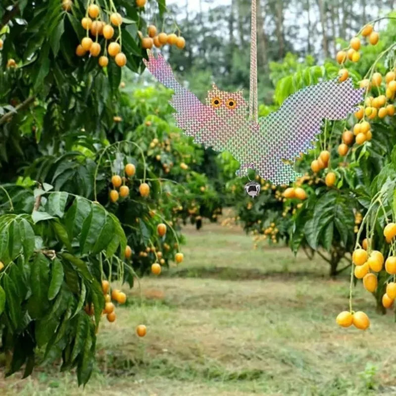 Paukščių Baidymo Figūra Skrendanti Pelėda