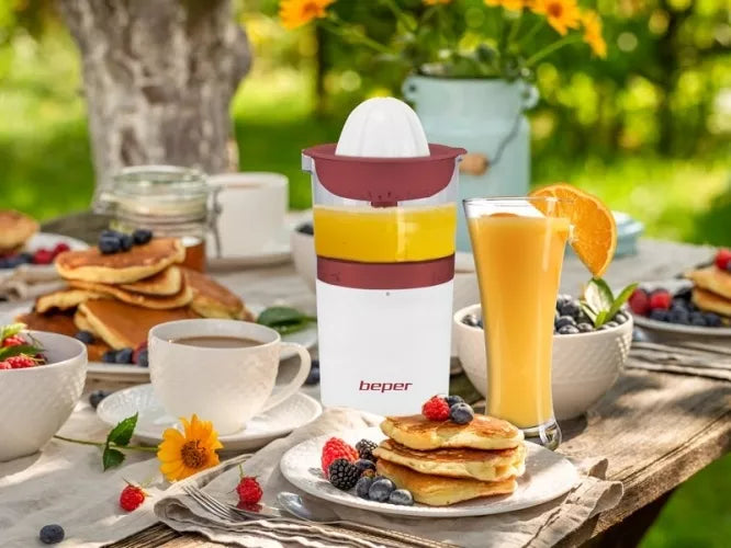 Sulčiaspaudė Beper B3217