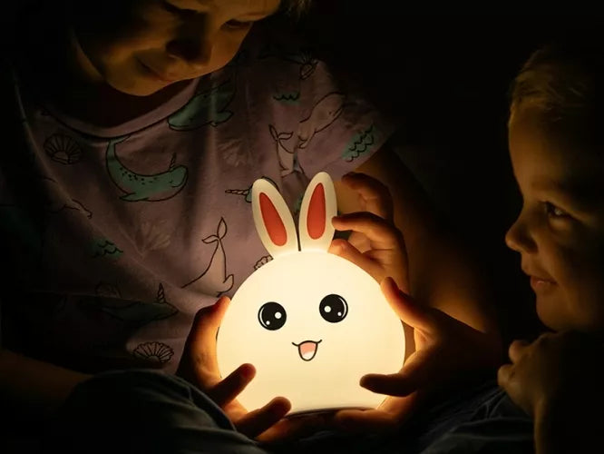 Šviestuvas Tracer T1317