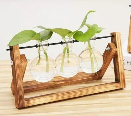 Trijų indelių hidroponinė vaza, 28 x 13,5 cm