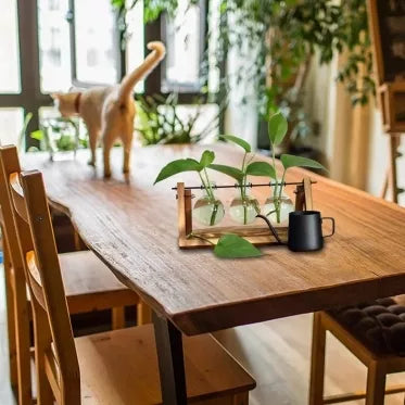 Trijų indelių hidroponinė vaza, 28 x 13,5 cm